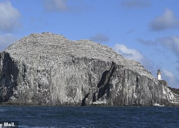 Bass Rock, the avian haven near to North Berwick which could be disrupted by the new wind farm