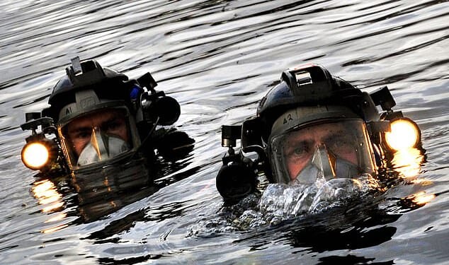 An elite team of Royal Navy divers is on standby to deploy to the Strait of Hormuz to help defuse Iranian mines blocking shipping lanes (file photo)