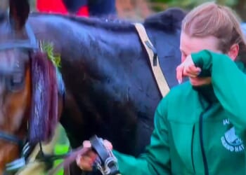 Emotional moment groom wipes ‘floods of tears’ after Impaire Et Passe gets up from horror Grand National Festival fall