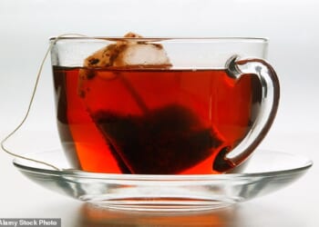 Tea bags release microplastics and nanoplastics into hot water, even those made from plant-based fibers