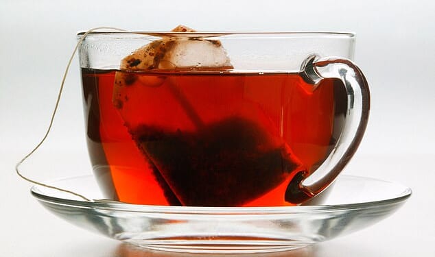 Tea bags release microplastics and nanoplastics into hot water, even those made from plant-based fibers
