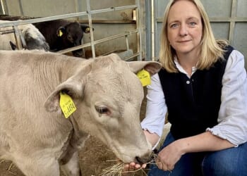 Ann Maidment, 42, who works on her family's cattle and horse farm in north Wiltshire, said it took just five minutes and £184 to sign up her prize animal, Beau Vine (pictured left), as a legitimate rubbish disposer