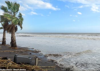 The Maldives has an average elevation of just 1.5 metres, meaning around 80 percent of its 1,100 islands could be at risk of being swallowed by rising seas in the next 30 years
