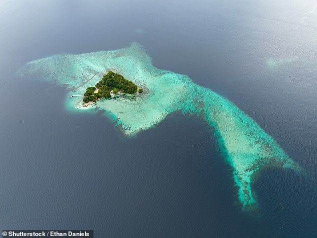 Entire islands have all but disappeared across the Solomon Islands due to rising seas