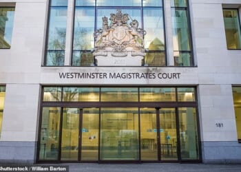 Mohammed Ali, 20, dodged extradition to France due to delays to his case at Westminster Magistrates’ Court