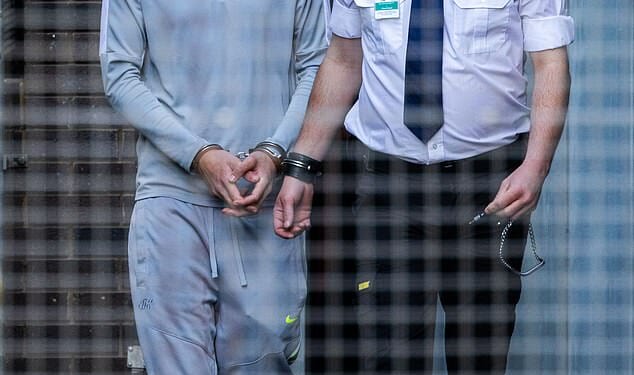 Al-Danasurt grins as he is led to the prison van after court on Wednesday