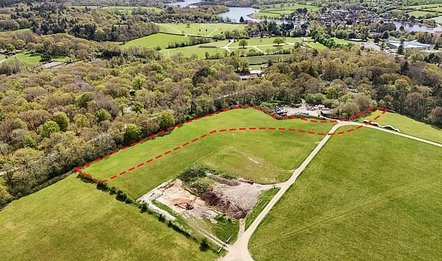 Pictured: The proposed site for the 46-space car park on the Beaulieu Estate in Hampshire