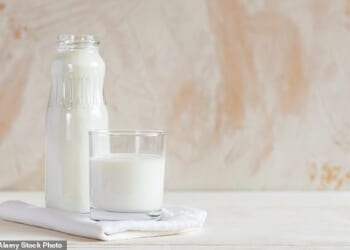 A large glass of milk can cut the risk of bowel cancer by 17 per cent