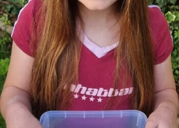 Melanie Hill's daughter Evie had been playing down by the River Ogmore in Bridgend, South Wales, when she spotted endangered Mexican axolotl