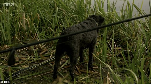 Ted was often seeing getting in the way of fishing equipment as Bob and Paul took to various spots around the UK