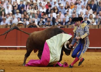 Morante de la Puebla, widely hailed as the 'King of bullfighters' was caught out in a split-second misjudgment during his bout