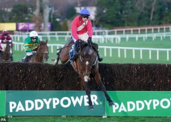 Trainer Willie Mullins has meticulously planned the campaign of Grangeclare West so that he peaks on Grand National day