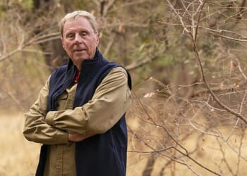 Harry Redknapp, 79, has waded into the explosive I'm A Celebrity row between Jimmy Bullard and Adam Thomas