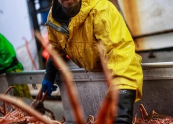 Discovery Channel has revealed how Deadliest Catch will handle the death at sea of 25-year-old cast member Todd Meadows