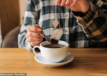 Experts warn that your favourite tea bag could be releasing billions of microscopic plastic particles into your daily cup