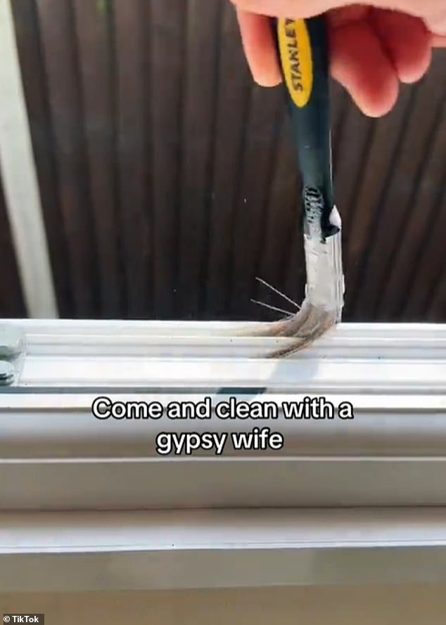 The unique tips include using an old paint brush dipped in bleach and fairy liquid to clean  the edges of their windows