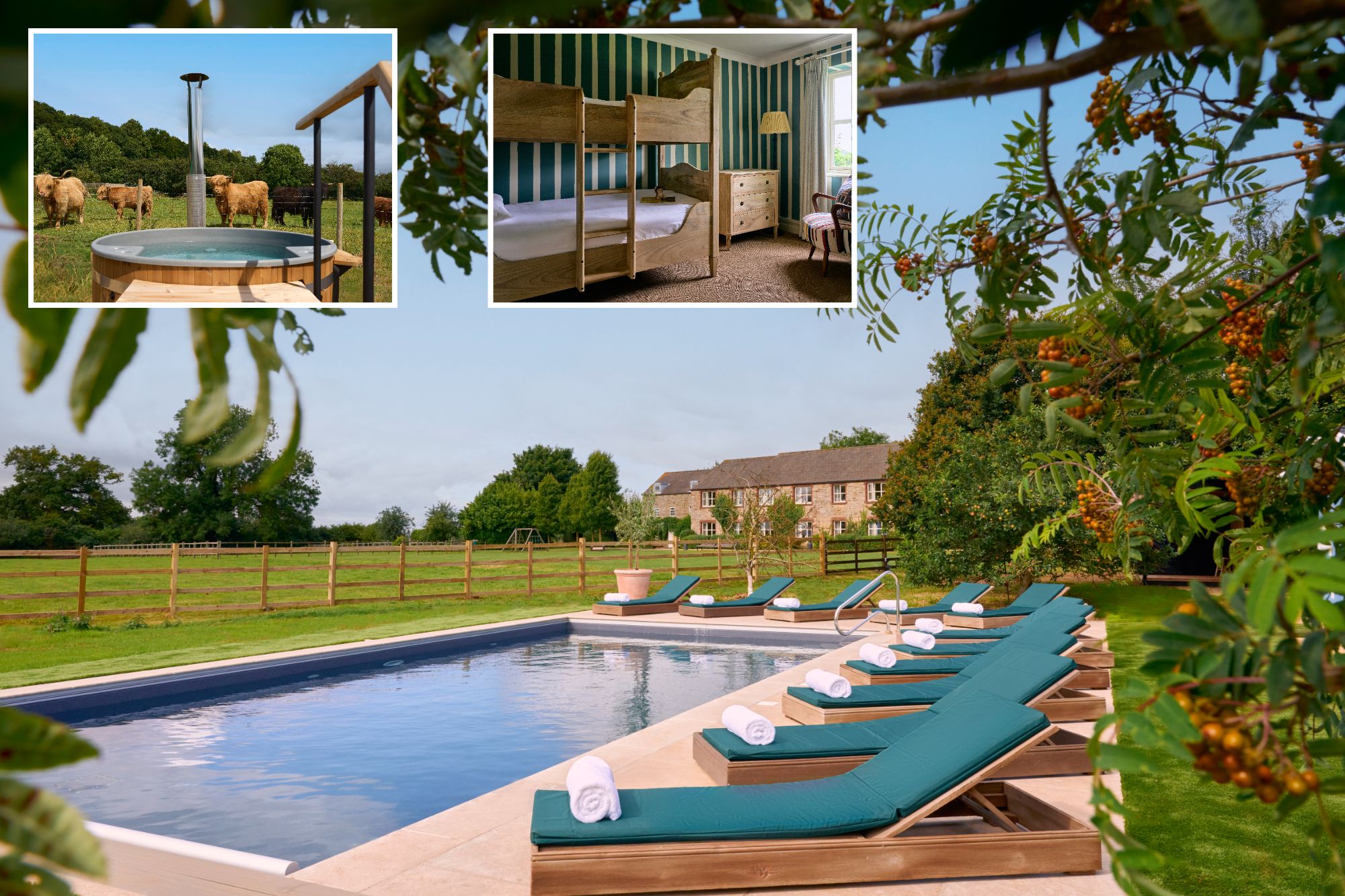 An image collage containing 3 images, Image 1 shows NINTCHDBPICT000996279833, Image 2 shows NINTCHDBPICT000975641919, Image 3 shows NINTCHDBPICT000975641991