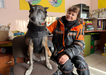 In Ukraine, these dogs are finding the missing, saving lives