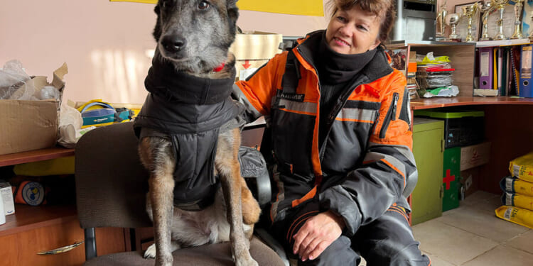 In Ukraine, these dogs are finding the missing, saving lives