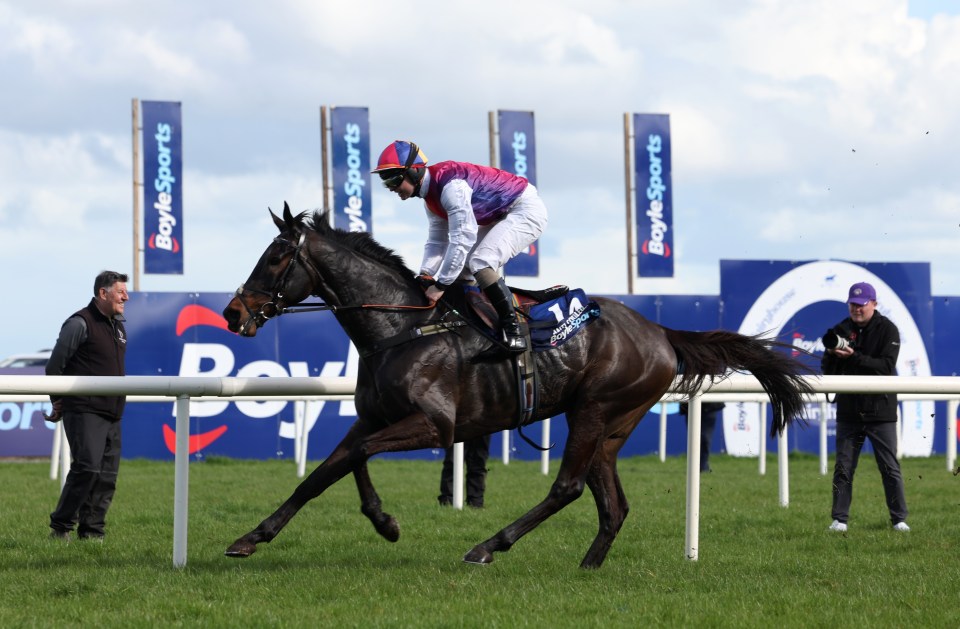 Fairyhouse Races - Monday April 21st