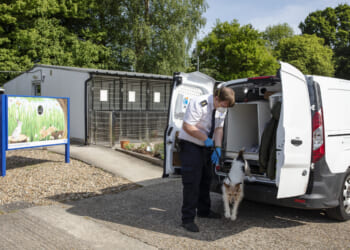 Is Animal Welfare an Opening for the British Right?