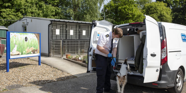 Is Animal Welfare an Opening for the British Right?