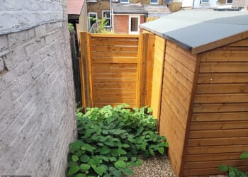 Watch out: More than 1.5million houses across Britain are affected by Japanese knotweed, a new analysis suggests - and the growing season is beginning