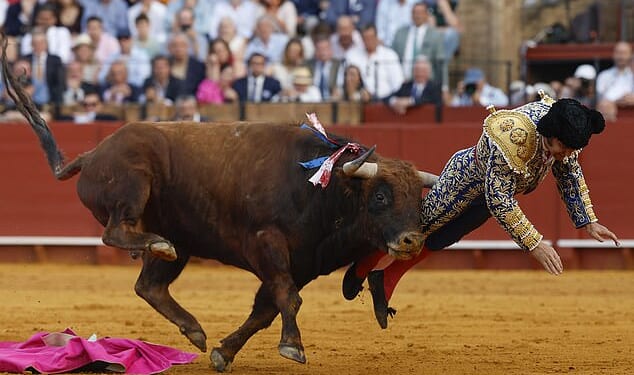 Morante de la Puebla, widely hailed as the 'King of bullfighters', is recovering in the Viamed Hospital after being rushed out of the packed Maestranza arena in Seville on Sunday