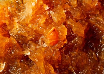 Jams, jellies and EU insanity | Tim Worstall