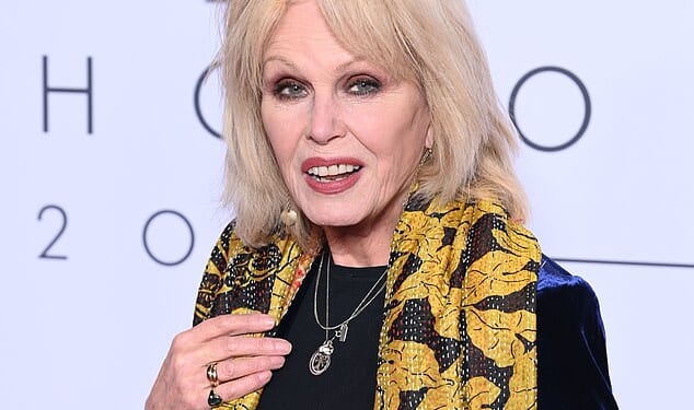 Dame Joanna Lumley screamed at the group of thugs while dressed in only a dressing gown in the dead of night