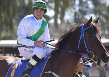 Veteran Aussie jockey Shane McGovern has had both legs amputated following a shocking trackwork accident earlier this month
