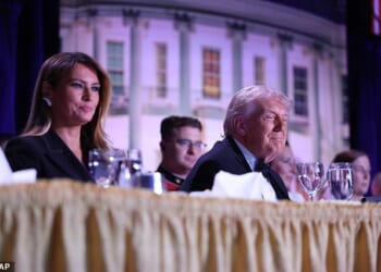 The President and First Lady were seated at the head of the table on stage when the incident occurred