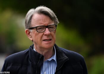 Global Counsel, which was founded by the peer and former New Labour minister, made more than £3.5million in the past two years from WuXi AppTec.