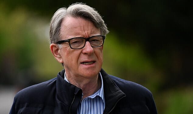 Global Counsel, which was founded by the peer and former New Labour minister, made more than £3.5million in the past two years from WuXi AppTec.