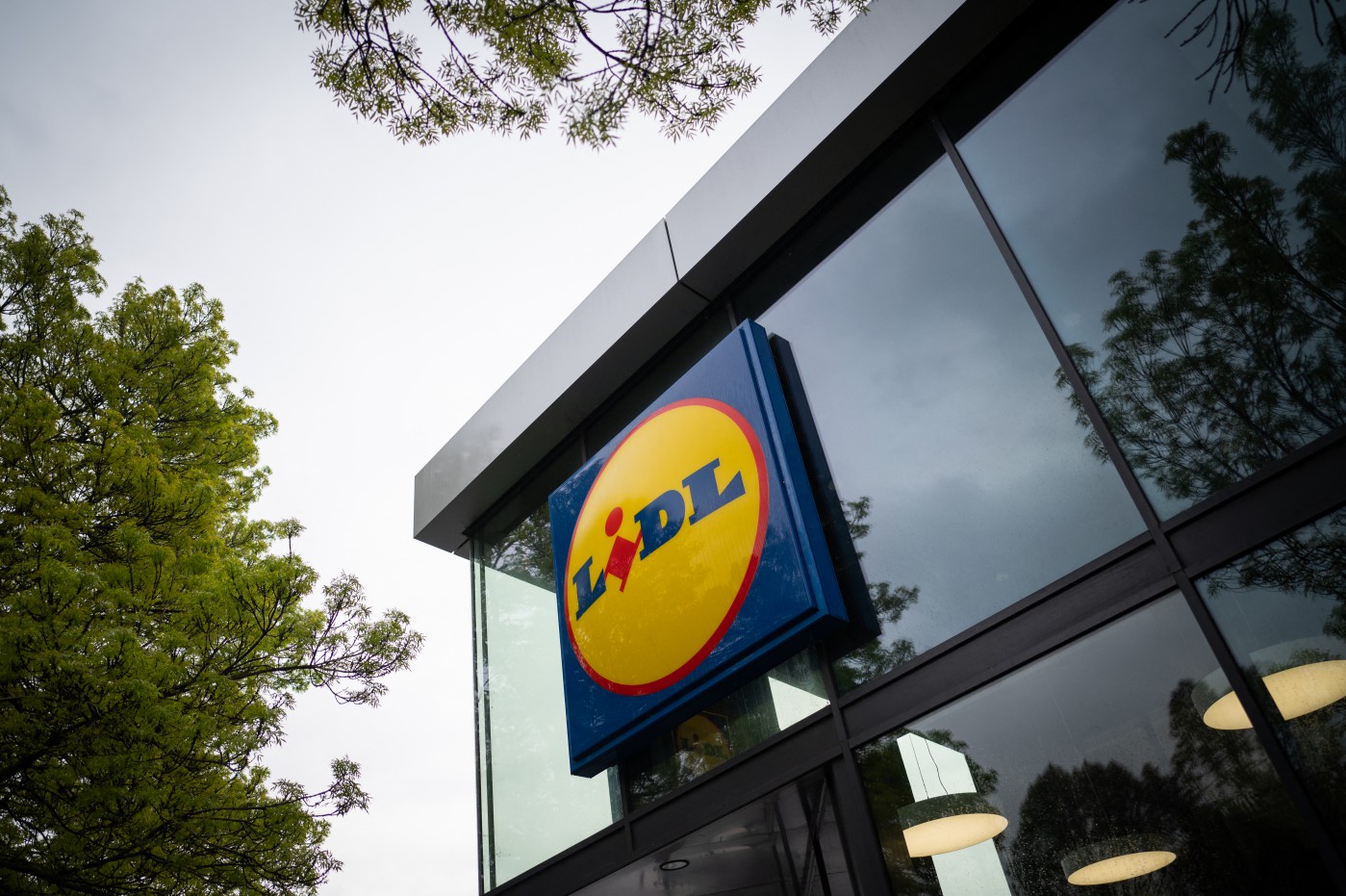 Lidl logo on the exterior of a building with glass windows.