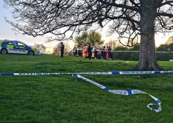 A man has been killed and another rushed to hospital after a fight broke out on Primrose Hill 'as crowds basked in the sunshine'