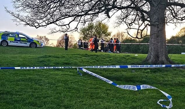 A man has been killed and another rushed to hospital after a fight broke out on Primrose Hill 'as crowds basked in the sunshine'
