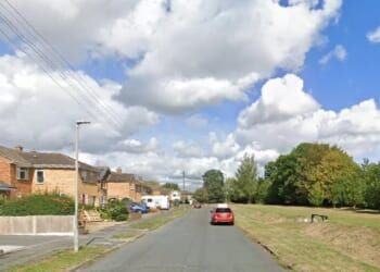 Man in his 70s is sexually assaulted by woman before snatching Rolex from his wrist & fleeing in broad daylight attack