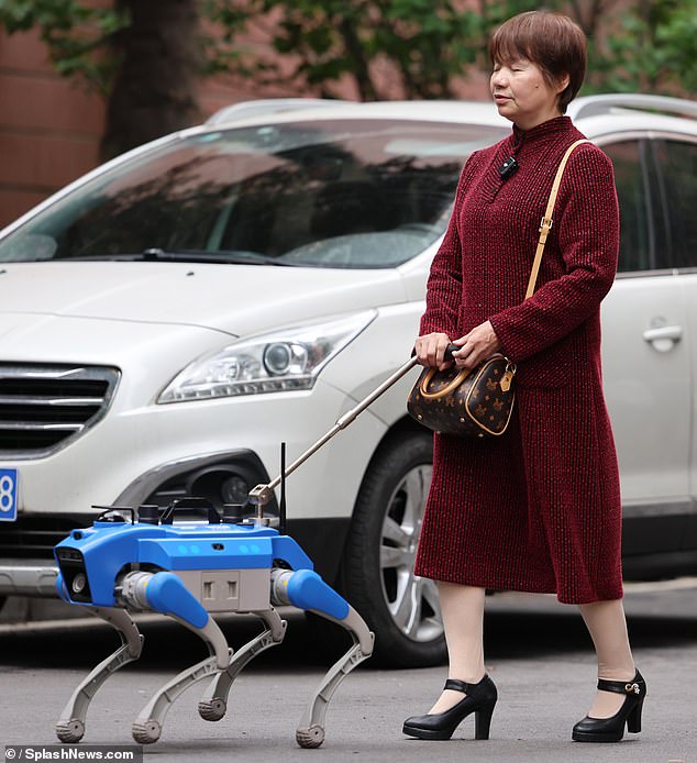 China has suffered from a shortage of guide dogs for its blind population, a problem it is hoped the technology will address