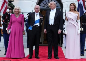 Melania Trump looked effortlessly chic as she slipped into a pink strapless gown for this evening's state dinner