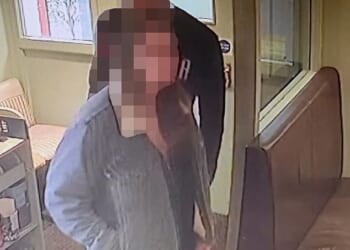 The couple are alleged to have racked up a £195 bill at Bistro On The Quay in Ipswich before leaving, the owner has claimed