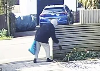 The hooded woman swiftly pulls the flower out of the earth in the flowerbed - bringing a clump of roots with it