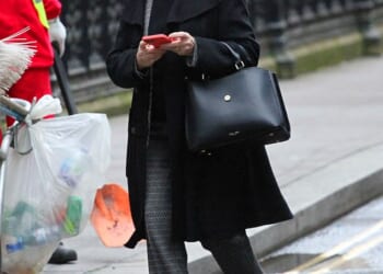 Ms Montgomerie - a reiki therapist, crystal healer and 'angel card' reader - claims her son Mr Minns owes her £1million in loans and demands he pay off a £1million mortgage on her Hampshire home