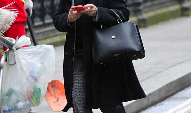 Ms Montgomerie - a reiki therapist, crystal healer and 'angel card' reader - claims her son Mr Minns owes her £1million in loans and demands he pay off a £1million mortgage on her Hampshire home
