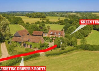 Farm owner Alexander Stratford, 35, want to move an ancient drover's route that passes through a beautiful 'green tunnel' from outside his £2.8 million home