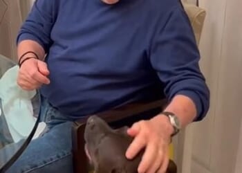 Tycoon Peltz was given the animal by his daughter Nicola Peltz Beckham ¿ Brooklyn Beckham's wife