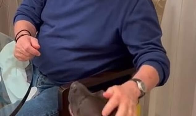 Tycoon Peltz was given the animal by his daughter Nicola Peltz Beckham ¿ Brooklyn Beckham's wife