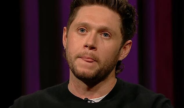 Niall Horan has reflected on his One Direction bandmate Liam Payne's tragic death