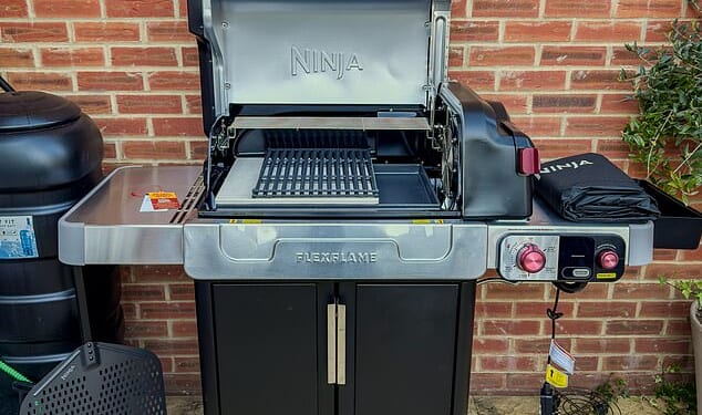 Ninja FlexFlame Gas BBQ & Outdoor Cooking System review: This quirky cooking gadget from Ninja claims it can replace your BBQ, pizza oven and air fryer - but is it a fad or the real deal?