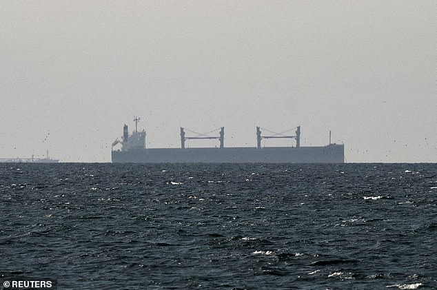 The ongoing blockade of the Strait of Hormuz during the Middle East conflict is driving diesel prices up. Pictured: a cargo ship near the Strait on March 11
